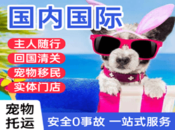 重庆仙女山机场托运国际宠物托运 【国